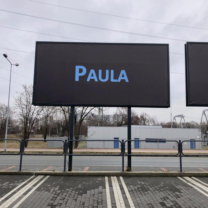 Katowice: Wynajął trzy bilboardy na Bażantowie, by wyznać miłość Pauli!