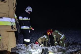 Maleństwo zaklinowało się w bobrzej norze. Wcześniej ktoś wyrzucił szczeniaki w szczerym polu