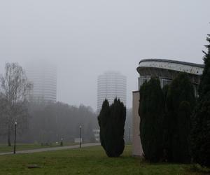 Hala Kapelusz w Parku Śląskim powstała w innowacyjnej technologii. Zobacz zdjęcia wyjątkowego budynku