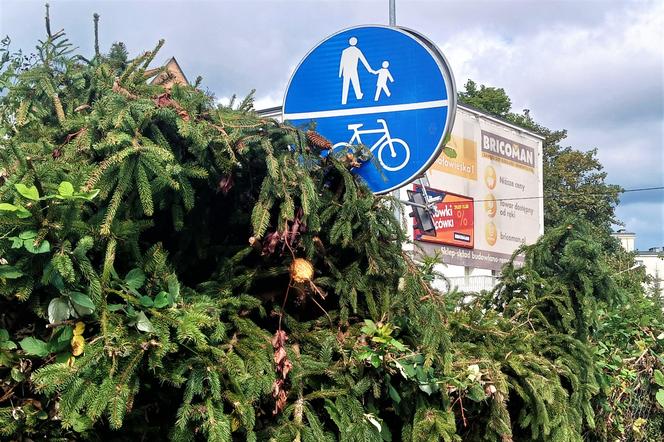 Piesi i rowerzyści często mylą te dwa znaki