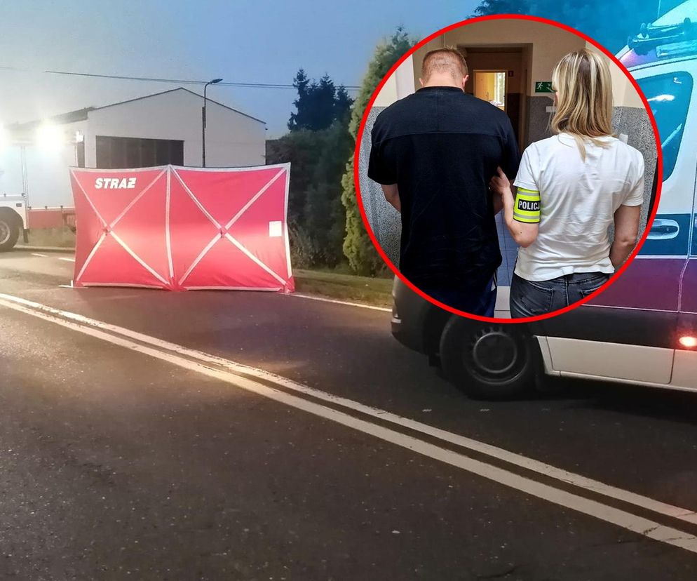 Śmiertelny wypadek pod Pszczyną. Rowerzysta nie żyje. Kierowca audi, który uciekł, był pijany [ZDJĘCIA]