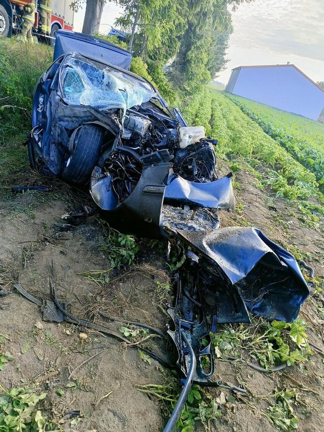 Śmiertelny wypadek pod Malborkiem. Dwóch nastolatków uderzyło w drzewo [ZDJĘCIA].