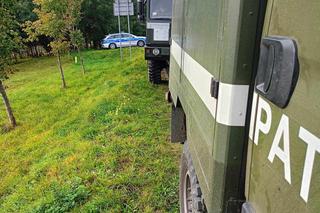 Niemiecka krowa wykopała pocisk na pastwisku