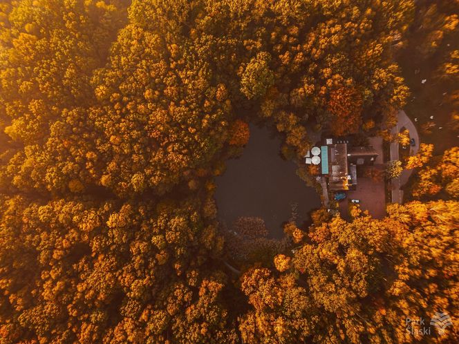 Park Śląski jesienią