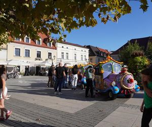 tłumy spokojnie spacerujących spacerowiczów w Pszczynie ZDJĘCIA