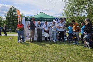 Festiwal Przyjaciół Zwierząt w Olsztynie. Park Centralny opanowały radosne pieski