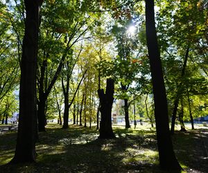 Złota polska jesień w Ogrodzie Saskim 2024