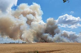 Pożar zboża na pniu w Baczynie pod Gorzowem