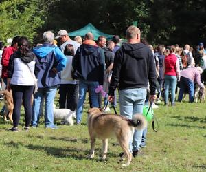 IX Piknik Przyjaciół Schroniska w Toruniu