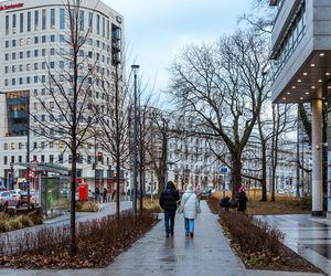 Zielona Marszałkowska między placem Bankowym a ul. Królewską