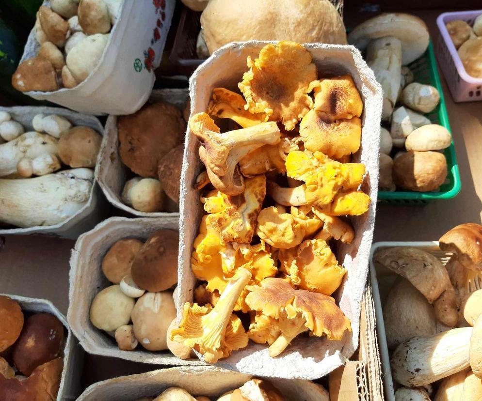 Ceny grzybów w Rzeszowie. Ile zapłacimy za kurki, prawdziwki czy borowiki?