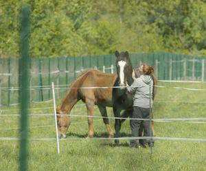 Katarzyna Dowbor odpoczywa u siebie na posesji