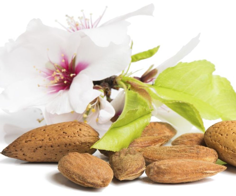 Migdały  to orzechy, które posiadają wiele  wartości odżywczych , a co za tym idzie - prozdrowotnych  właściwości . Sprawdź, jakie działanie mają migdały.