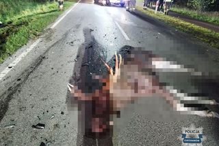 Poważny wypadek pod Ciechanowem. Wjechał w grupę osób ratujących życie 24-latkowi. Siedem osób w szpitalu