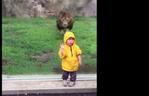 Lew chciał POŻREĆ chłopca w zoo! Zobacz przerażające wideo