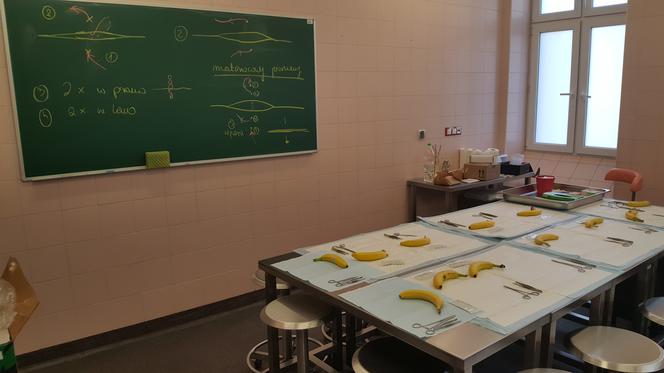 Drzwi Otwarte w Collegium Medicum UMK