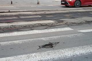 Ulica Trzebnicka we Wrocławiu się rozpada. Dziury takie, że można zostawić buty 