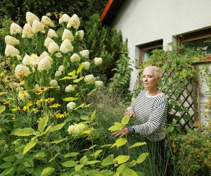 Ewa Telega pokazała ukochane miejsce. Aktorka uwielbia swój ogród