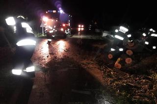 Małopolska: Konar uszkodził przewody elektryczne. Ranne zostało 5-letnie dziecko
