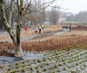 Nowa miejska plaża w Rzeszowie już powstaje