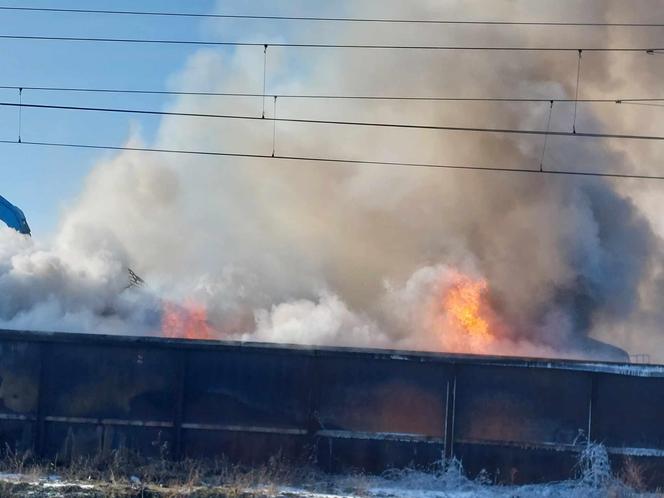 Pali się składowisko odpadów w Przysiece Polskiej