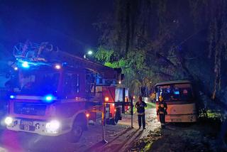Wichura powaliła drzewo na autobus