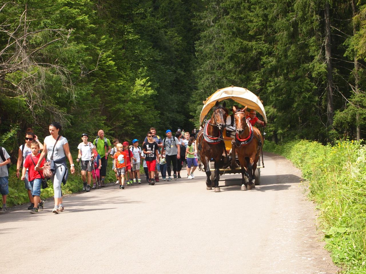 Tatry. Elektryczne hulajnogi zakazane na szlaku do Morskiego Oka 