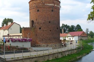 To wyjątkowy symbol miasta pod Olsztynem. Na jego szczycie znajduje się… gniazdo