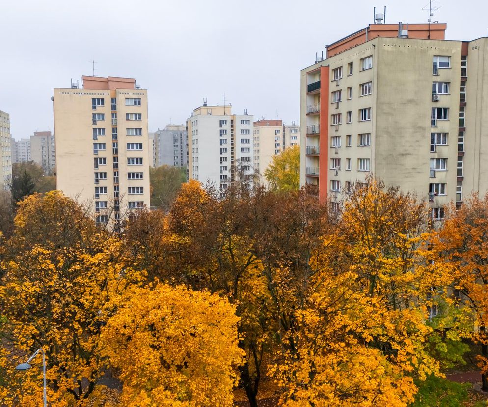 Mieszkania trzypokojowe od dewelopera