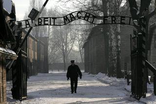 Oszukiwali na wycieczkach do Auschwitz! Zmowa biur podróży