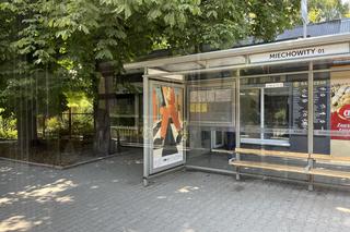 Krakowskie przystanki i cień - jak się sprawdzają? Jest kiepsko, sytuację ratują drzewa