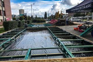 Rewitalizacja terenu wokół Rawy w Katowicach