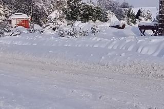 Atak zimy w powiecie bartoszyckim