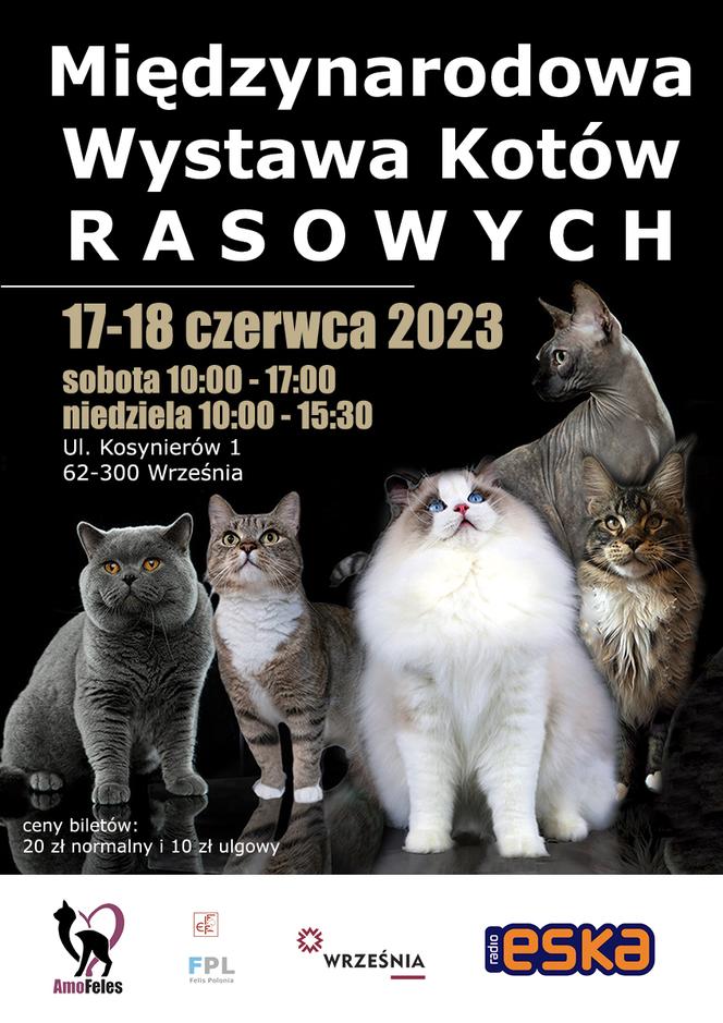 Międzynarodowa Wystawa Kotów Rasowych we Wrześni