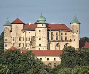 Zamek w Nowym Wiśniczu