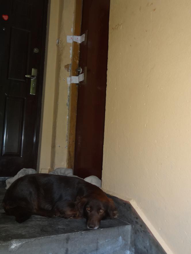 KOBIETA ZARŻNĘŁA KOCHANKA.