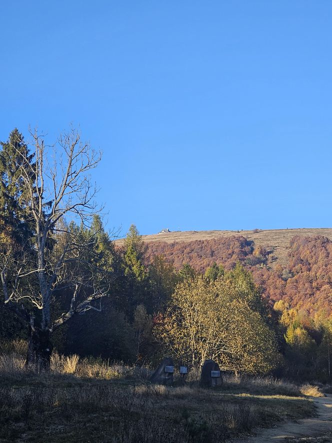 Bieszczady na jesień 