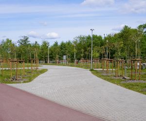 Miasto Piła