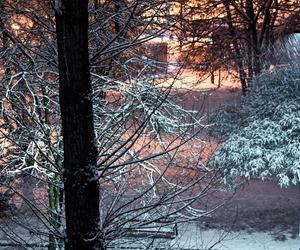 Kraków zasypany śniegiem. Armagedon na drogach. Ogromne utrudnienia w kursowaniu komunikacji miejskiej