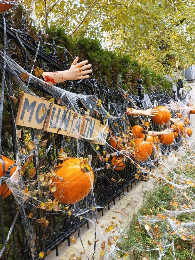 Willa na Jaśkowej Dolinie znów ozdobiona. Tym razem przechodniów zaskakują halloweenowe straszydła!