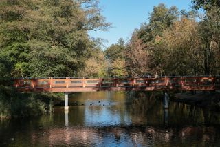 Nie musisz jechać do Ciechocinka. Ten uzdrowiskowy kurort leży tuż pod Warszawą