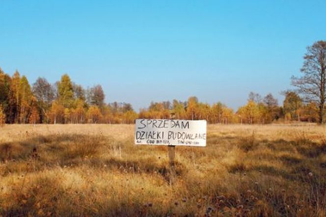 Wybór działki: jak kupować działkę budowlaną