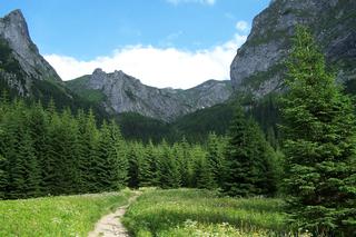 8 rzeczy w Tatrach, za które grożą bardzo wysokie mandaty