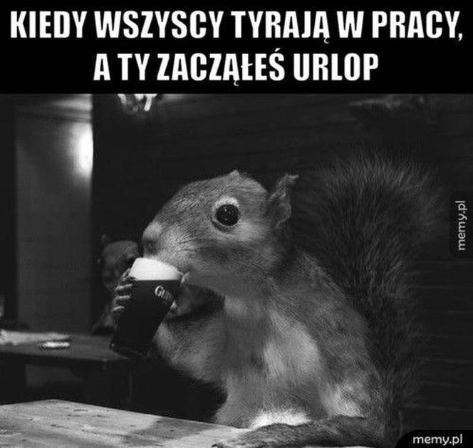 Urlop: memy