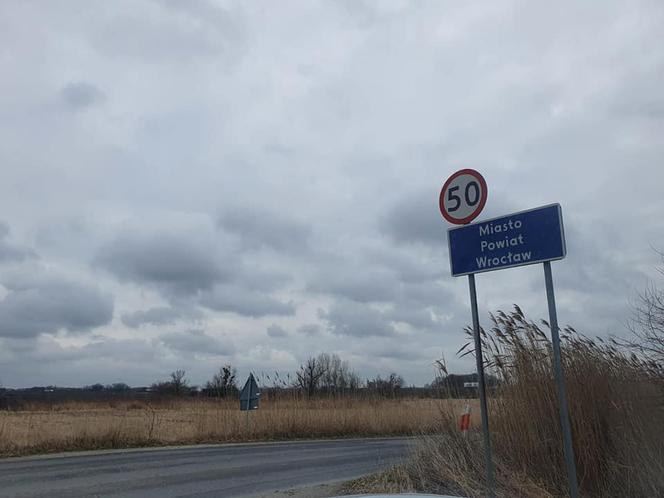 „Po Wrocławiu biega niedźwiadek”. To zgłoszenie postawiło służby na równe nogi 