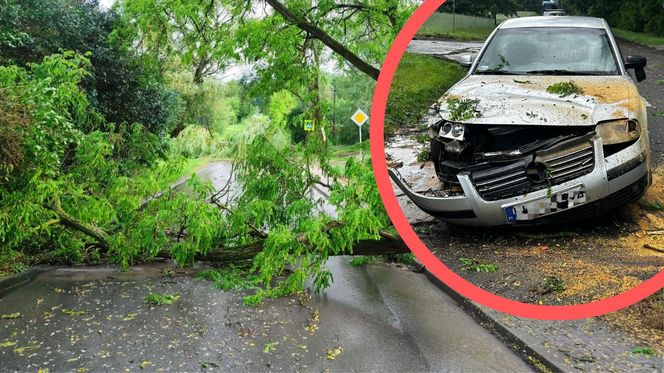 Potężne burze nad Polską. Drzewa spadały na samochody, setki interwencji straży pożarnej 