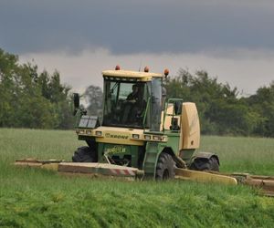 Geba traci żyzność?