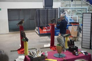 Targi Egzotyczne Zwierzęta w Szczecinie