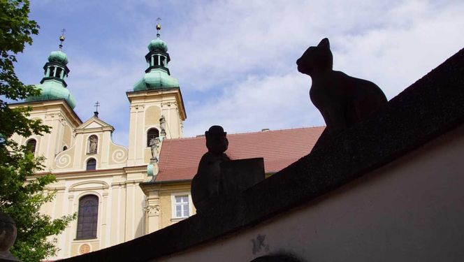 Kłodzko 