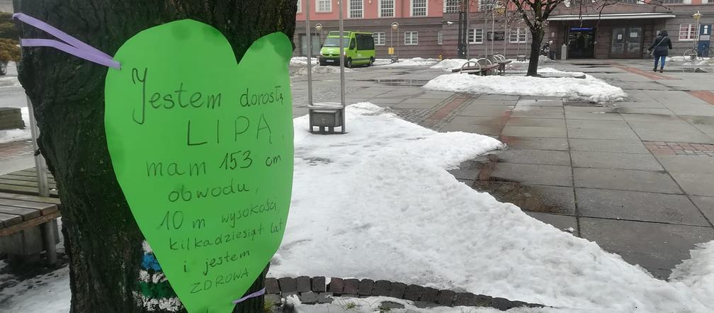 Gliwice: Miasto wycina drzewa przed dworcem PKP. Mieszkańcy protestują [ZDJĘCIA]